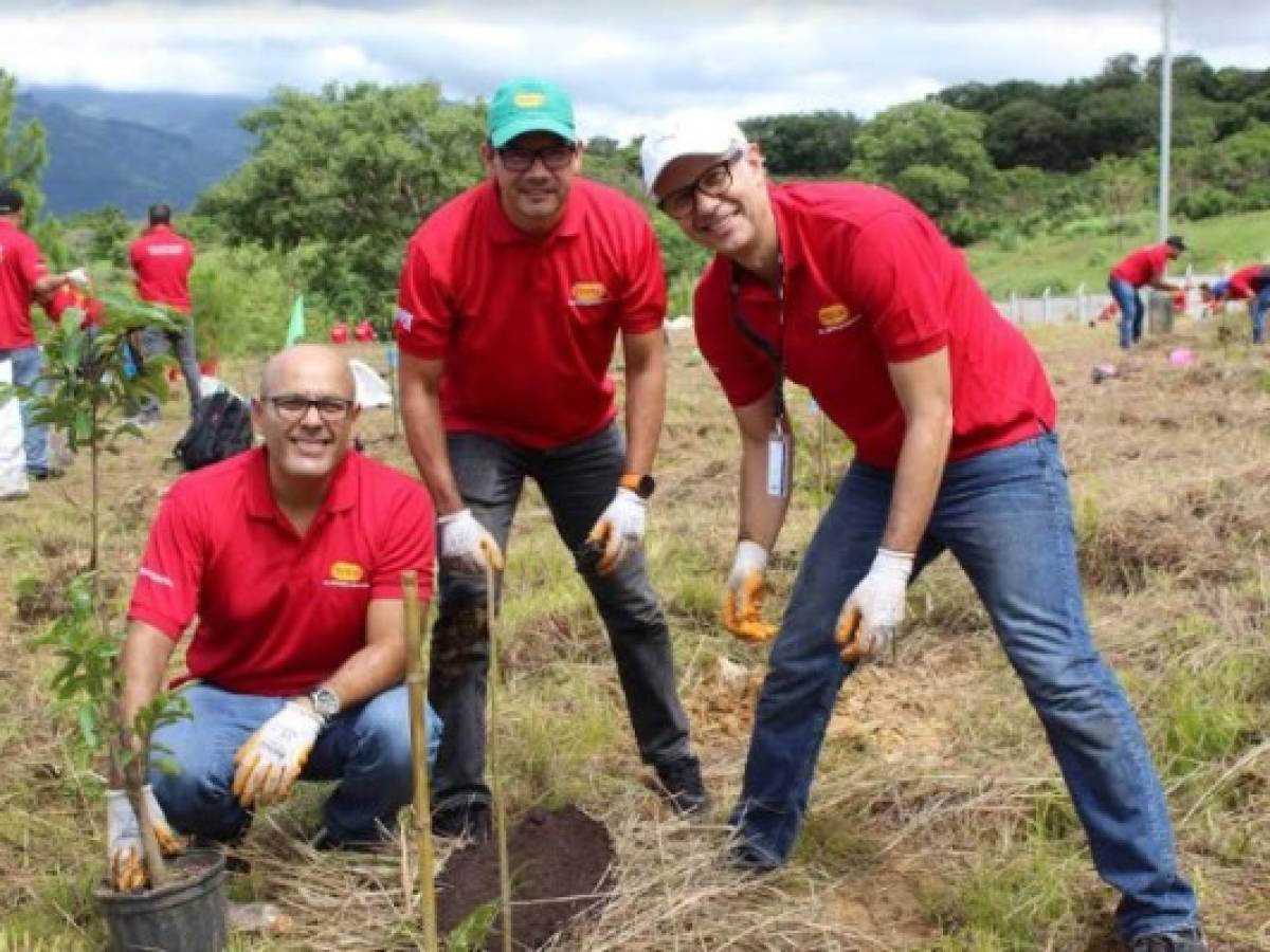 Costa Rica: Pozuelo impulsa campaña de reforestación