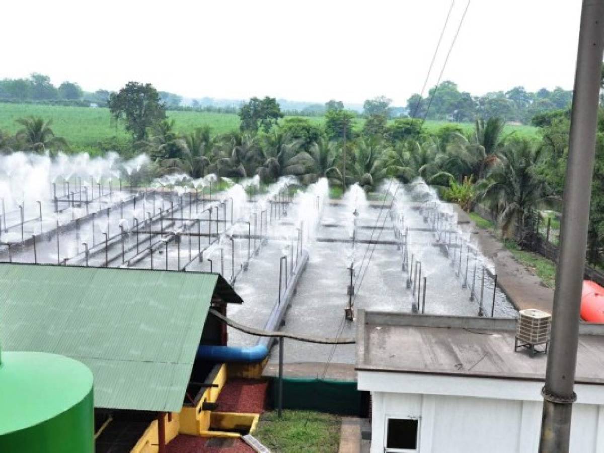 Ingenio Tulula ya tiene planta de tratamiento de aguas