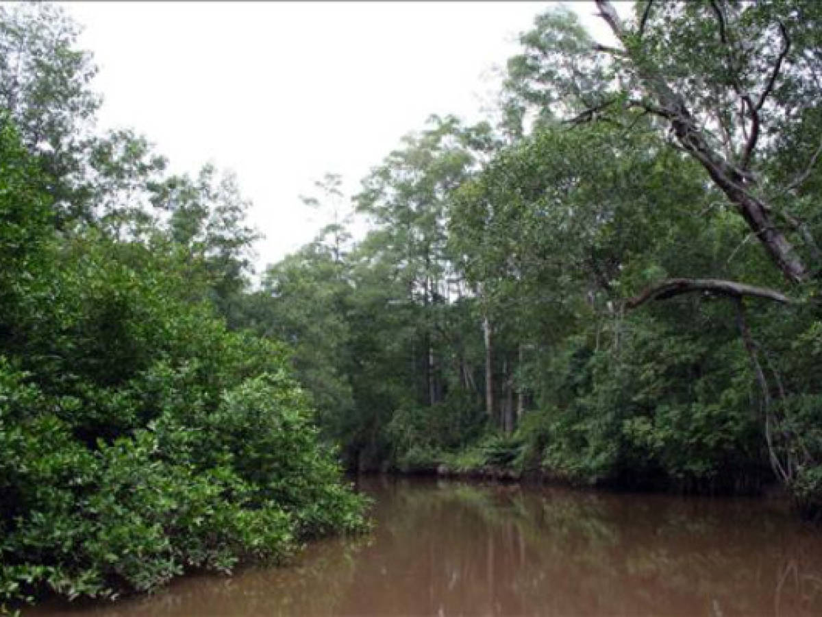 Protección de ríos y mares, gran deuda de la 'verde' Costa Rica