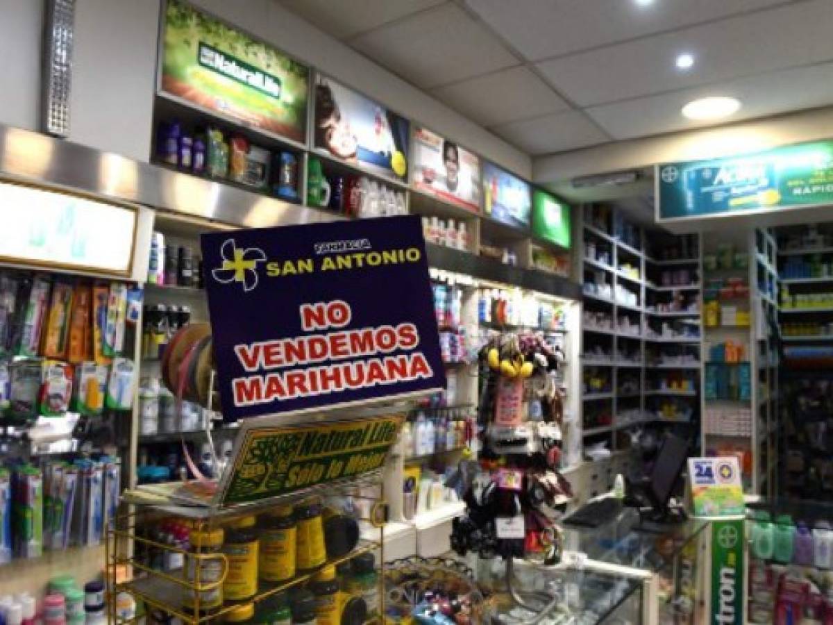 Uruguay, primer país en vender marihuana del Estado