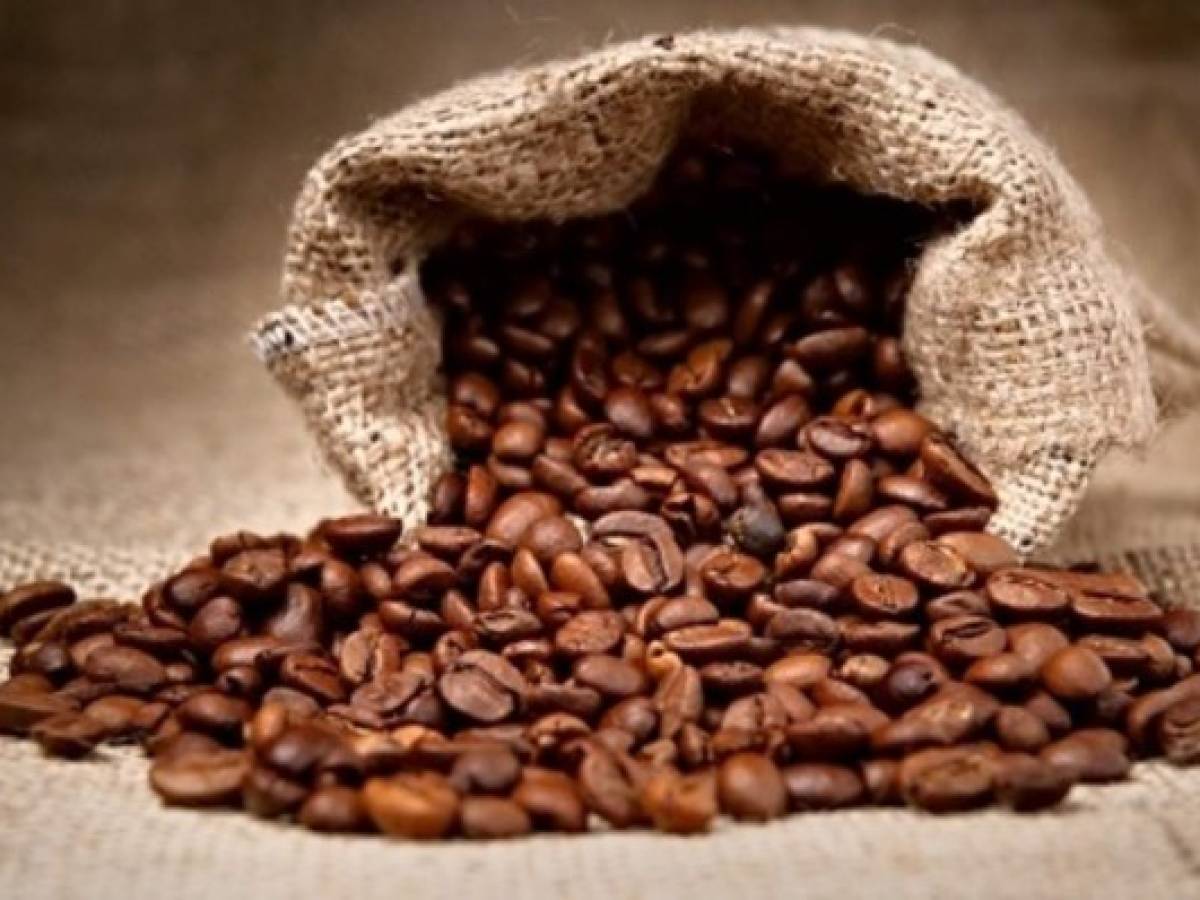 Guatemala prevé exportar 3,9 millones de quintales de café