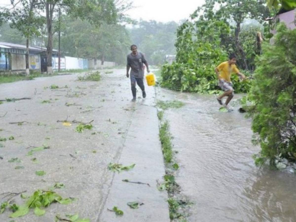 Guatemala: Estos son los productos que subieron de precio por efecto de tormentas y lluvias