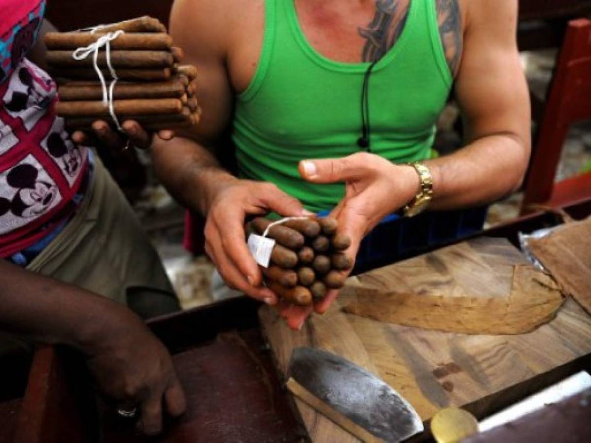 Habanos S.A, la mayor empresa de puros del mundo, vende US$445 millones en un año