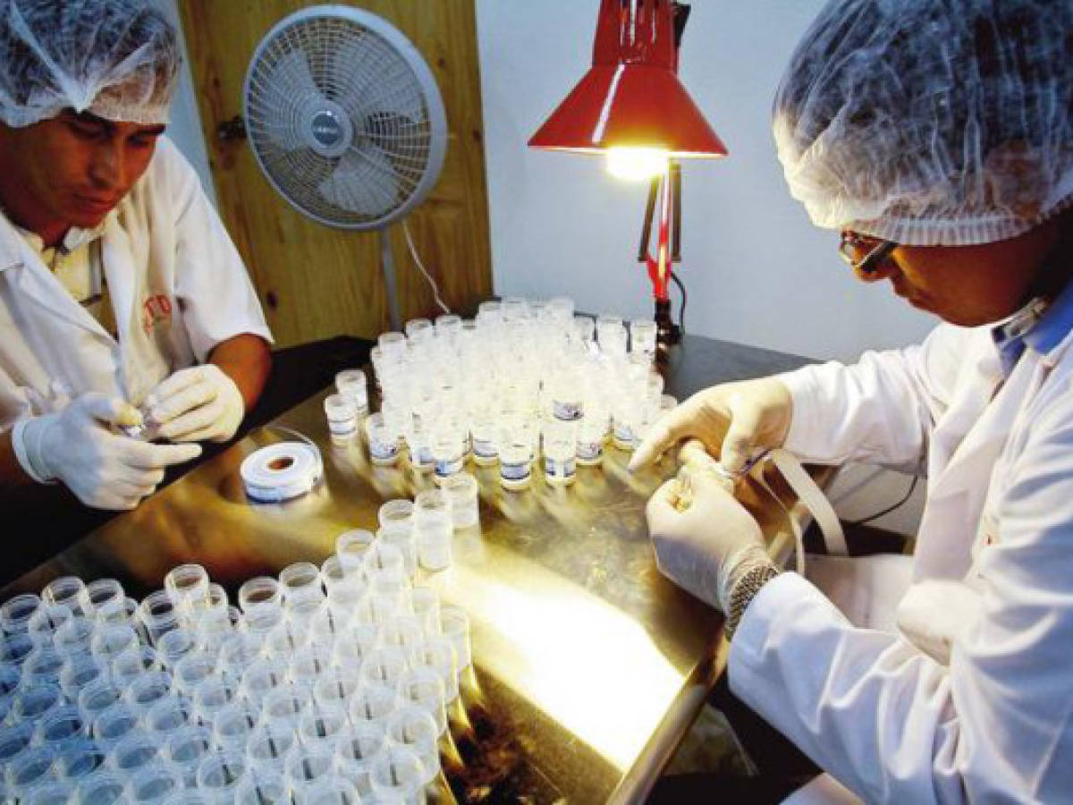Empresa costarricense en Feria Mundial de Invenciones
