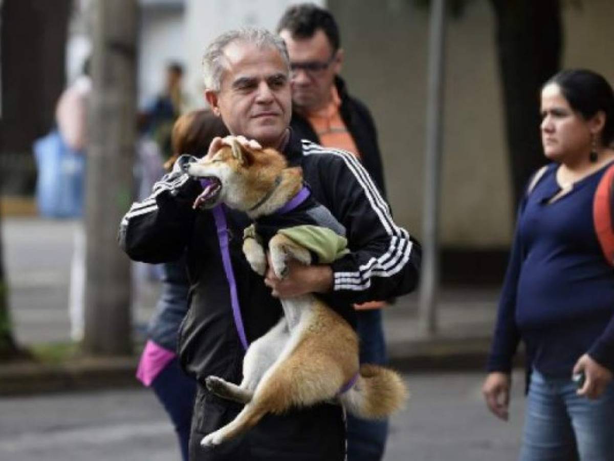 A man carrying his dog walks to the streets as he evacuates a building at Roma neiborhood during a powerful earthquake in Mexico City on February 16, 2018.Mexico's National Seismological Service put the magnitude of the quake at 7.0, and seismic monitor network Sky Alert said the quake was felt across the states of Guerrero, Oaxaca and Puebla. / AFP PHOTO / ALFREDO ESTRELLA