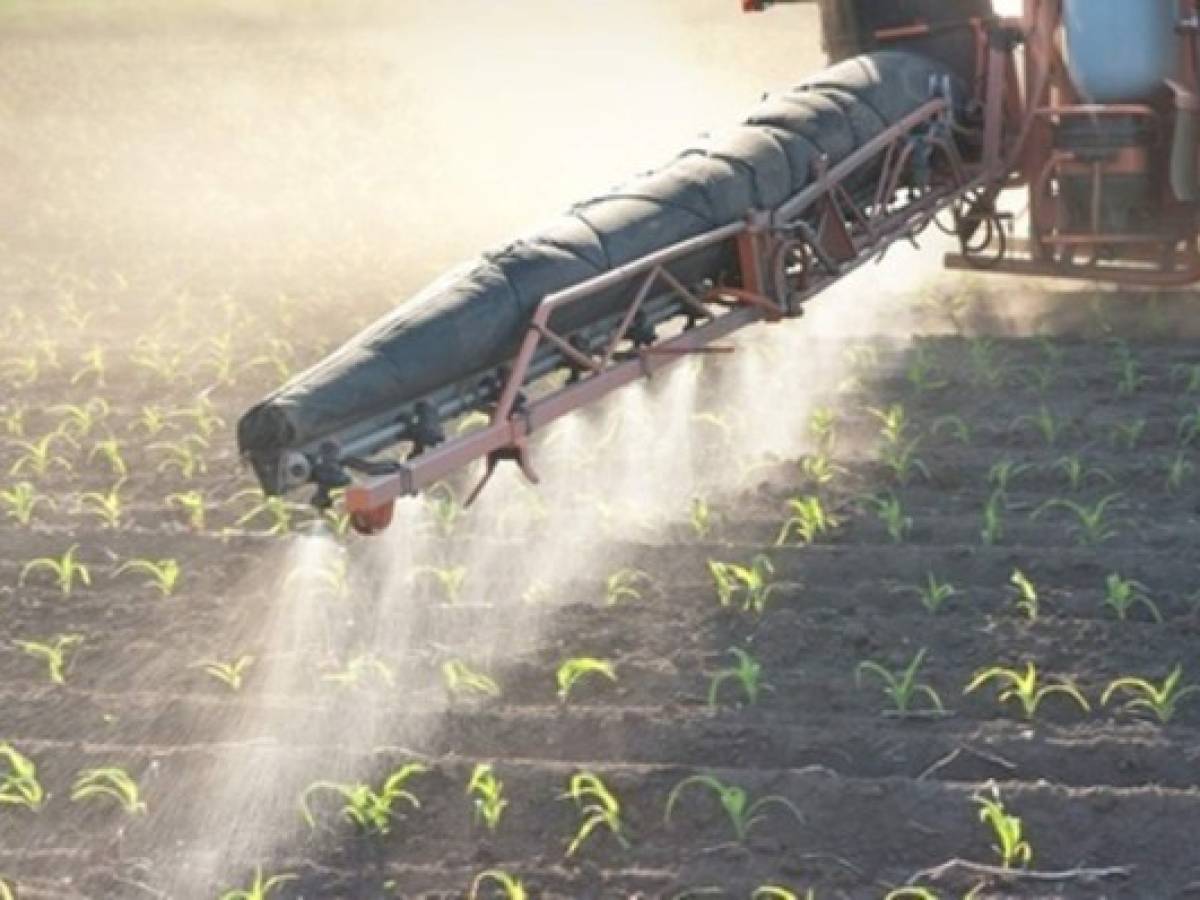 Panamá y Guyana firman acuerdo de cooperación agropecuaria