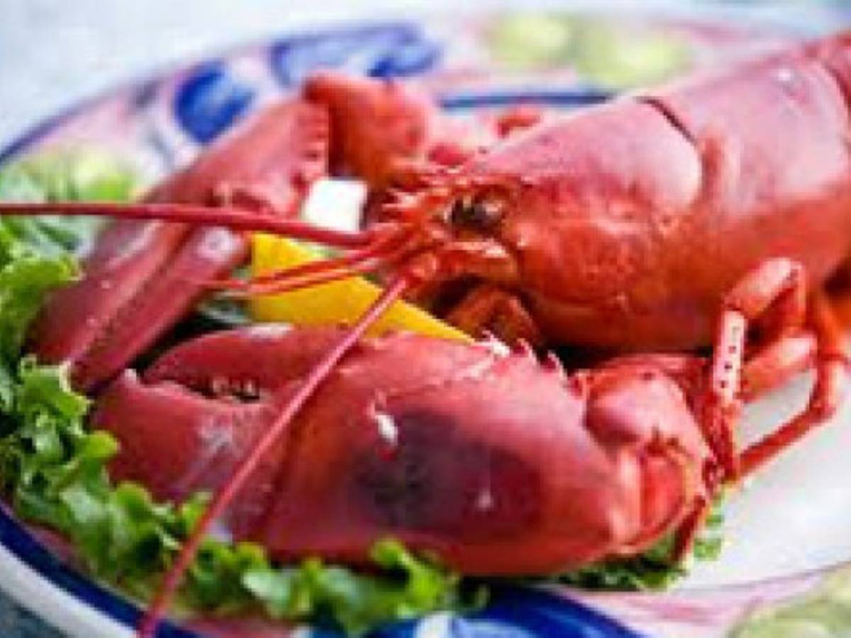 Se abre temporada de langosta en Honduras