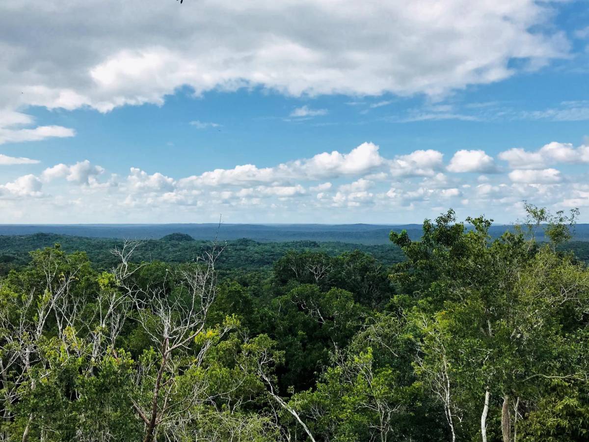 Grupo AJE impulsará economías circulares en bosques de Centroamérica