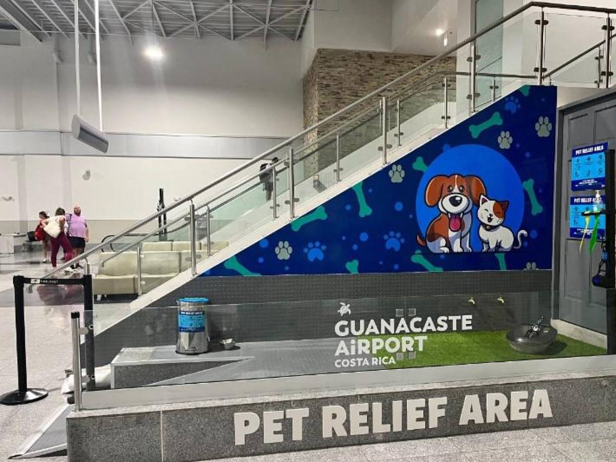 Mascotas cuentan con su propia área en Guanacaste Aeropuerto de Costa Rica