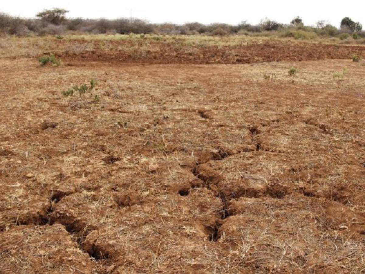 El Niño golpeará a Centroamérica y habrá menos lluvias