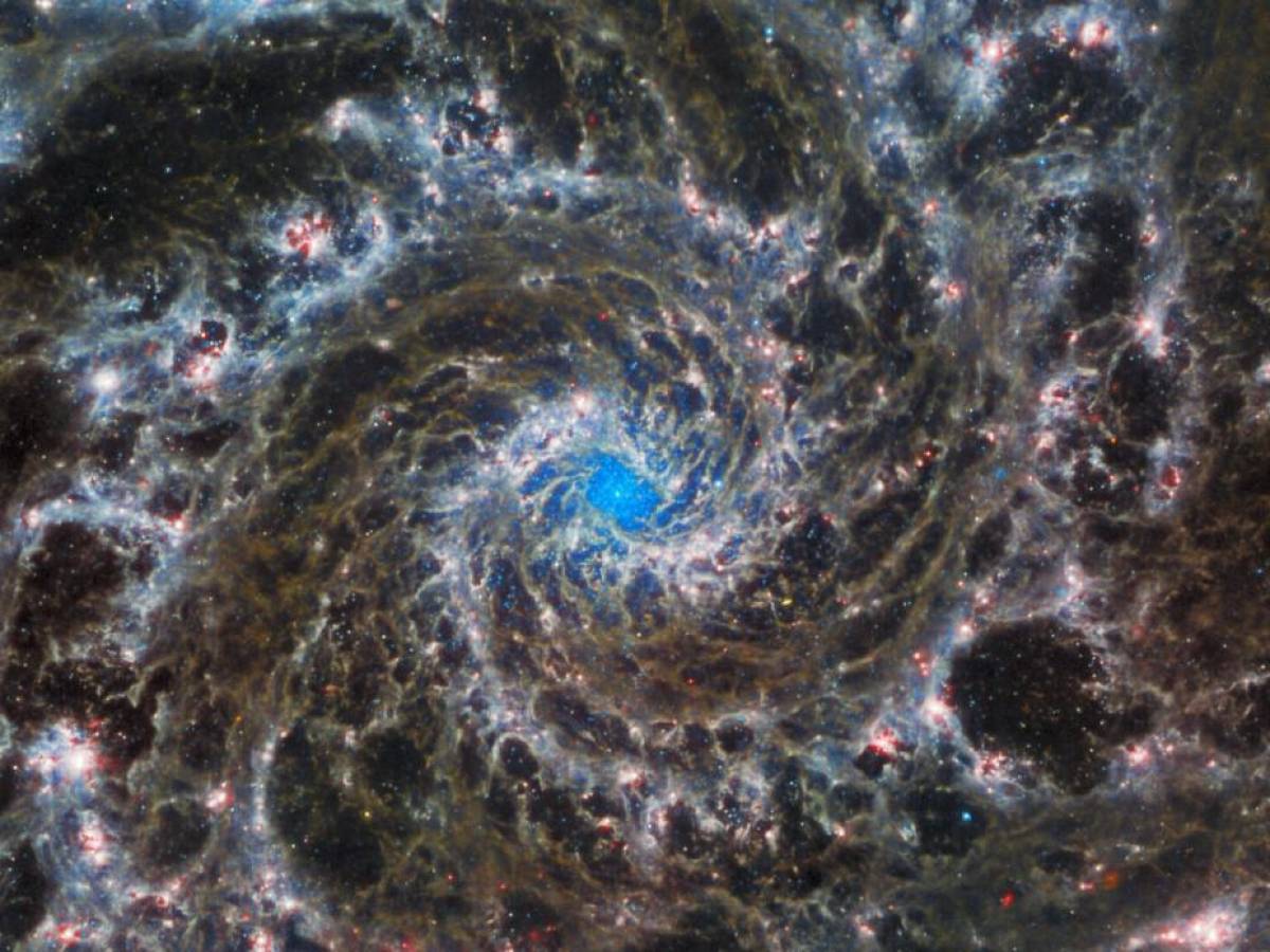 Telescopio Webb captura nuevos detalles de la Galaxia Fantasma