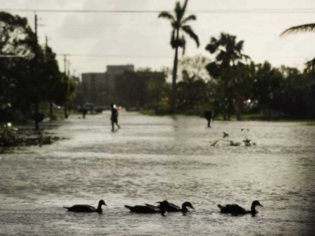 'Irma' se degrada a tormenta tropical mientras cruza Florida