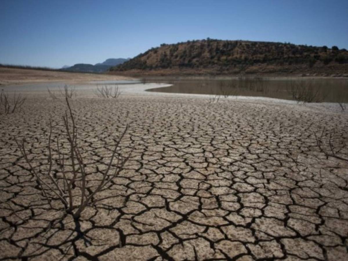 Banco Mundial: Costos por sequías cuadruplican a los de las inundaciones