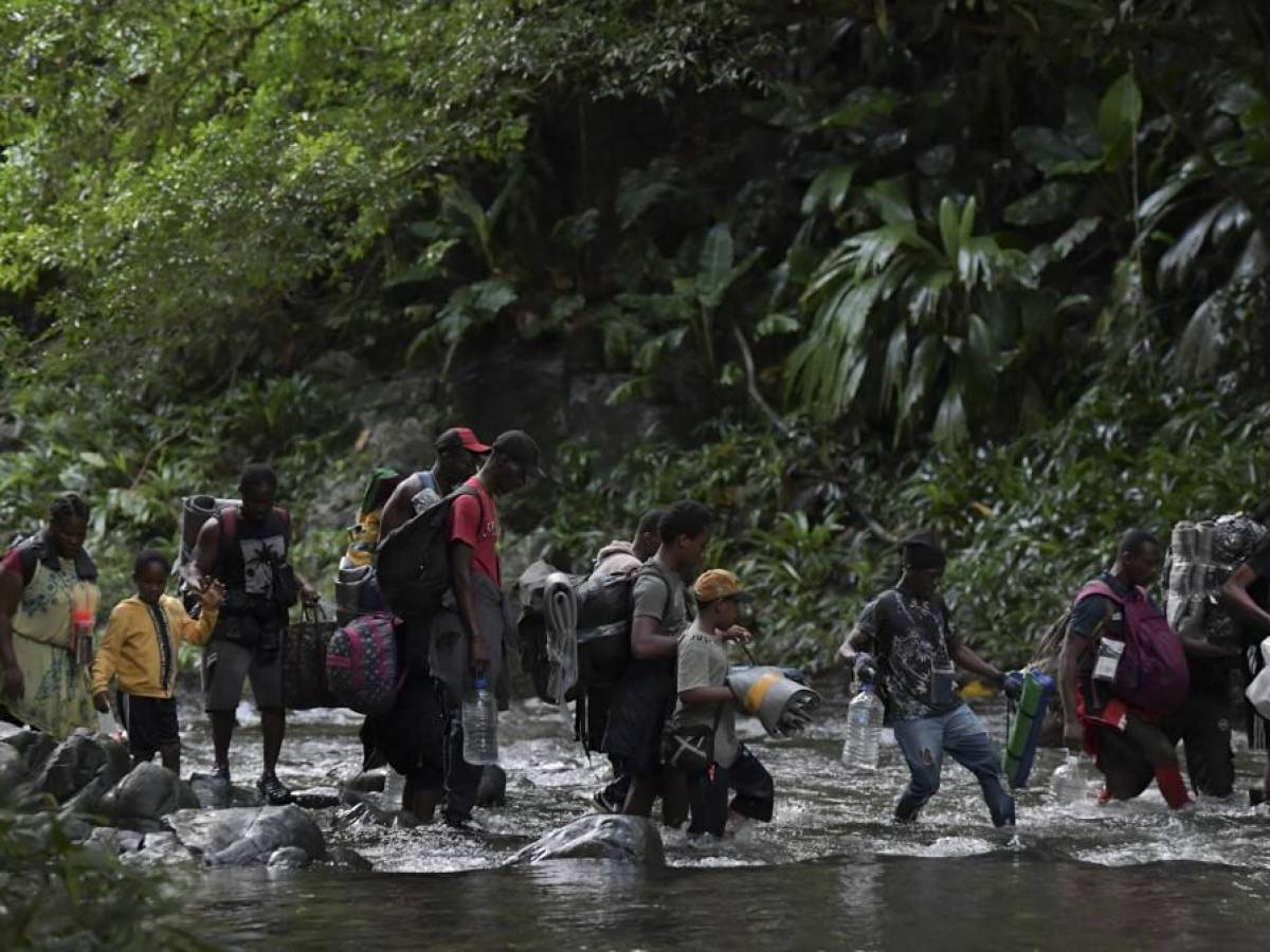 Récord anual de migrantes cruzó selva panameña en 2023 rumbo a EEUU
