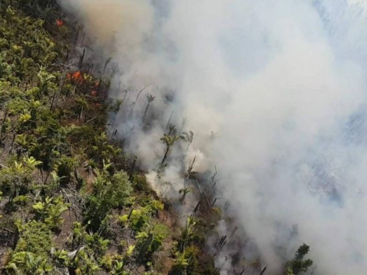 Nicaragua: Las claves del incendio en la Reserva Indio Maíz