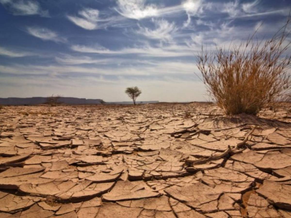 Sequía en el mundo: Hasta 20% de los pozos de agua en el mundo están en riesgo de secarse