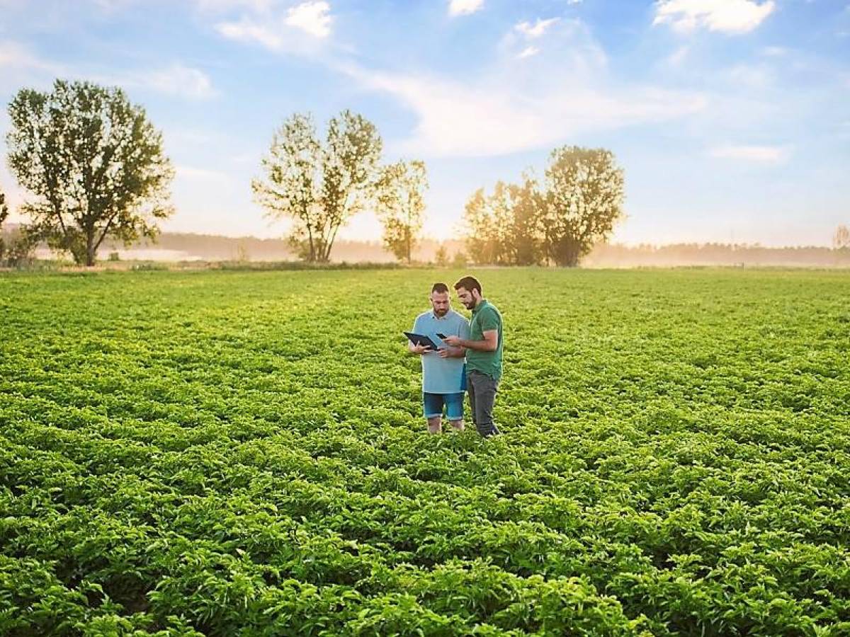 PepsiCo Latam anuncia segunda ronda de proyectos financiados por Fondo de Agricultura Positiva