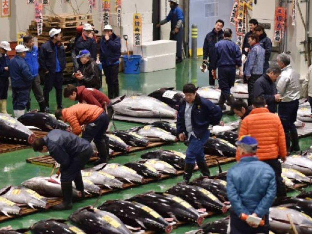 Pagan hasta US$3,1 millones por un atún en subasta