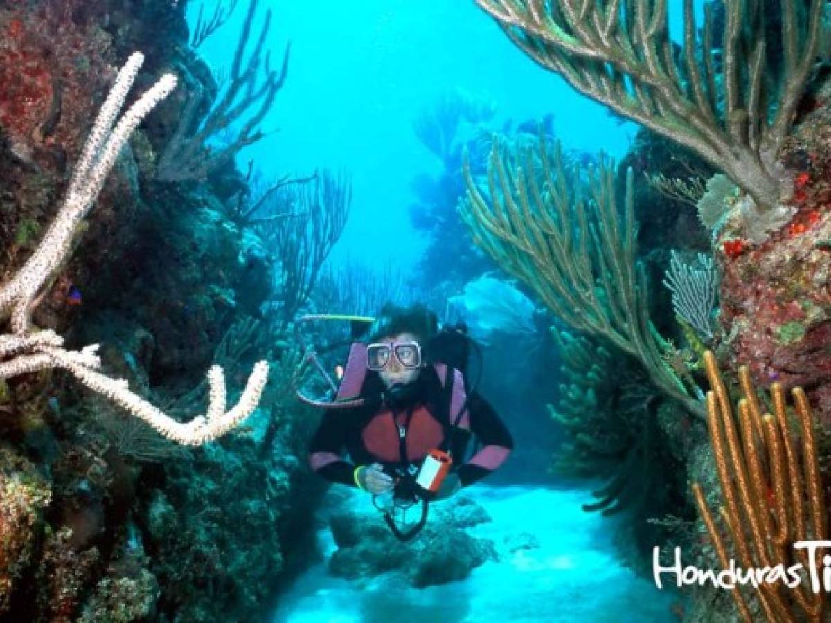 Roatán, tercera isla más importante del mundo