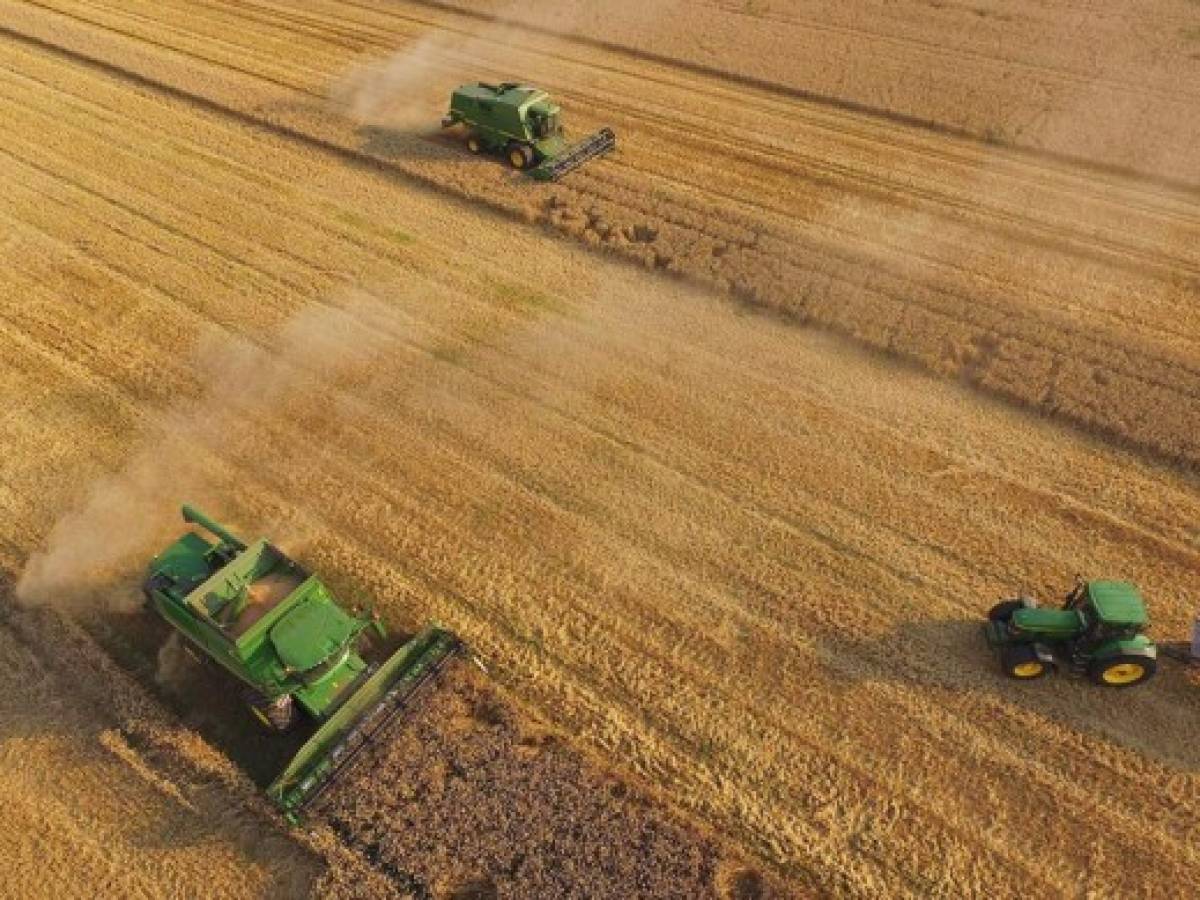 ONU: Cambiar uso de la tierra es esencial para combatir el cambio climático