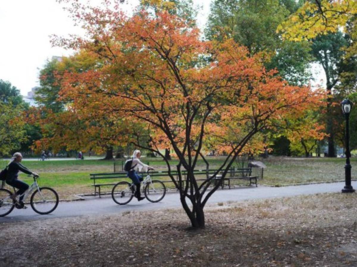 Alcalde de NY prohibe la circulación de automóviles en Central Park