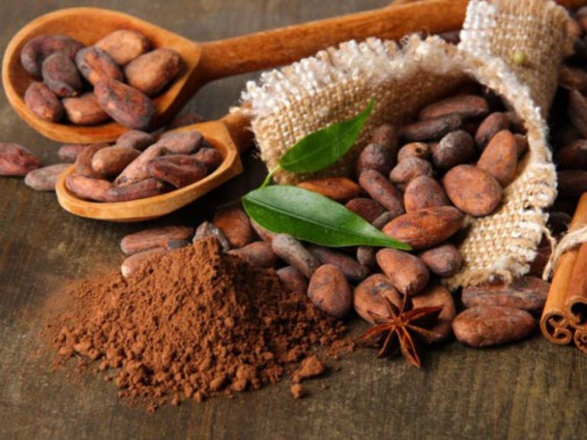 Los agricultores se pasan de la coca al cacao