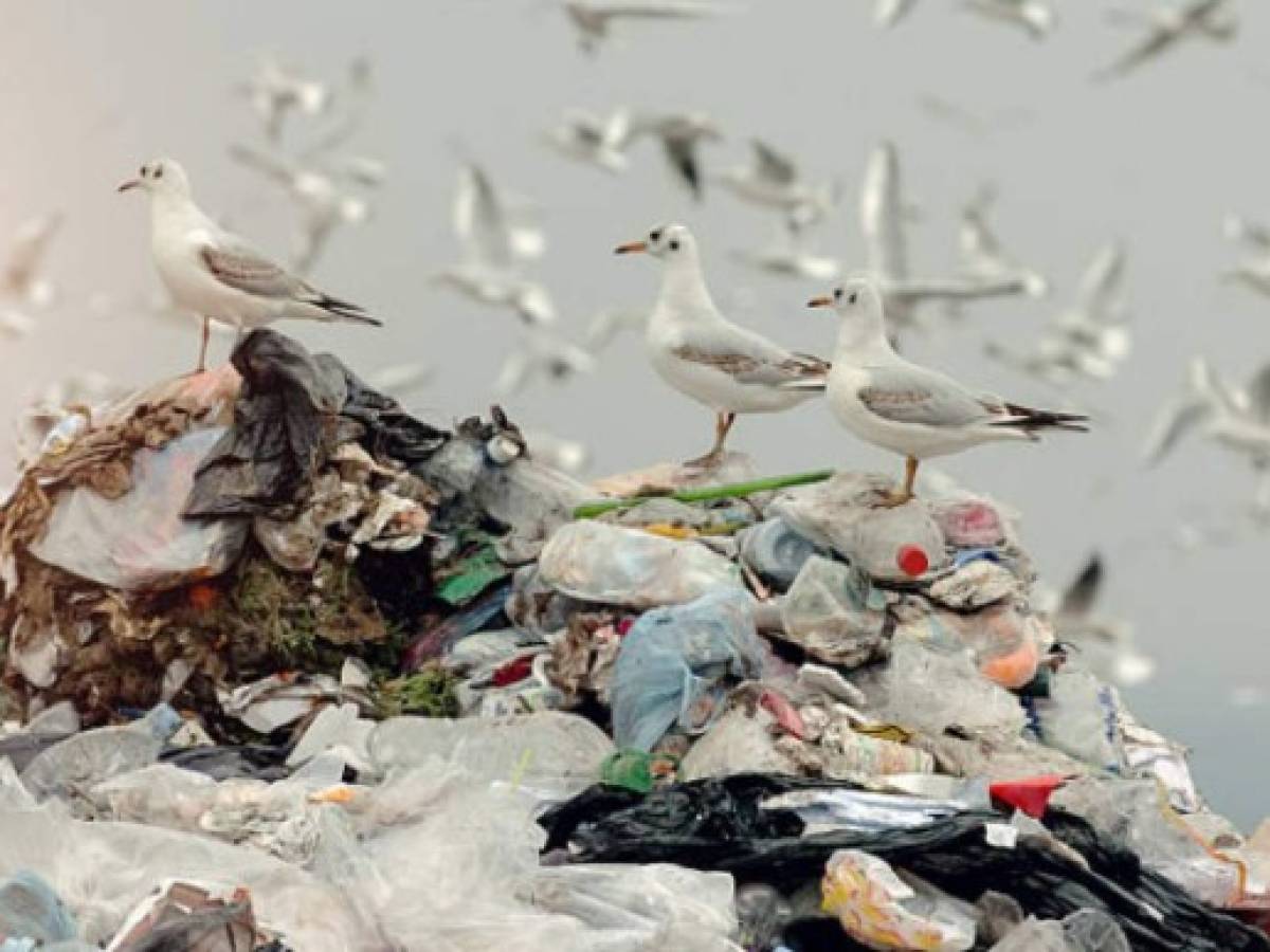 La ONU pide reducir la producción mundial de plástico
