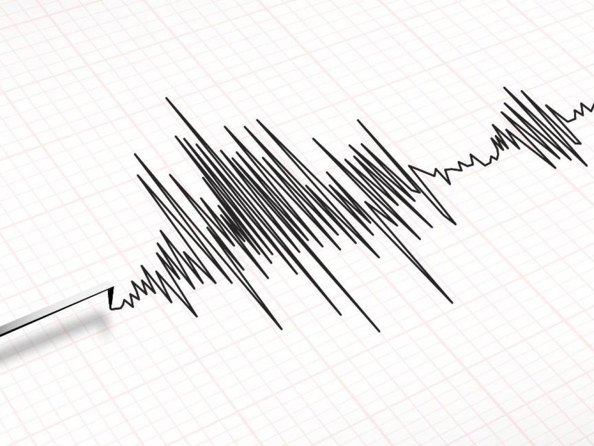 Sismo de 6,5 sacude el sur de México sin víctimas ni daños