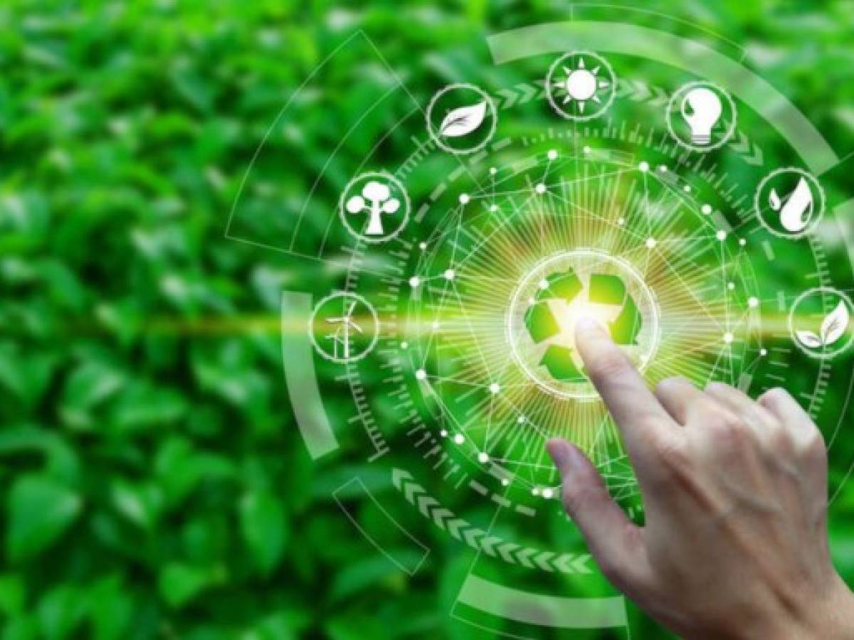 Latinoamérica debe aprovechar pospandemia para impulsar el crecimiento verde