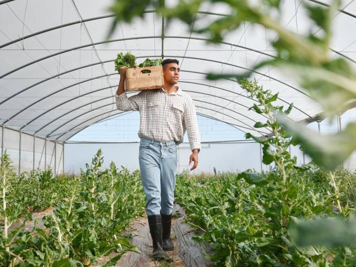 Casi la mitad de la población mundial vive en hogares vinculados a sistemas agroalimentarios