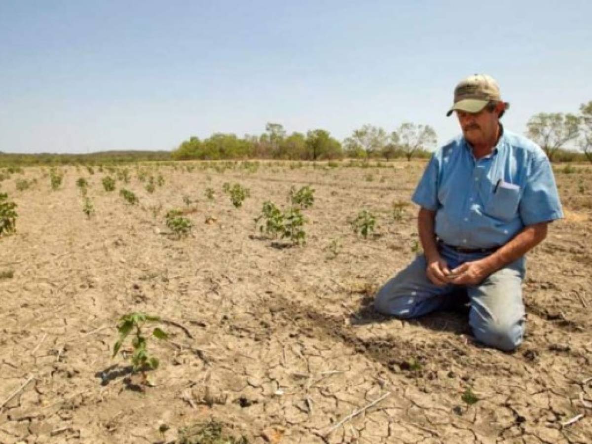 Cambio climático traerá más sequías para Centroamérica