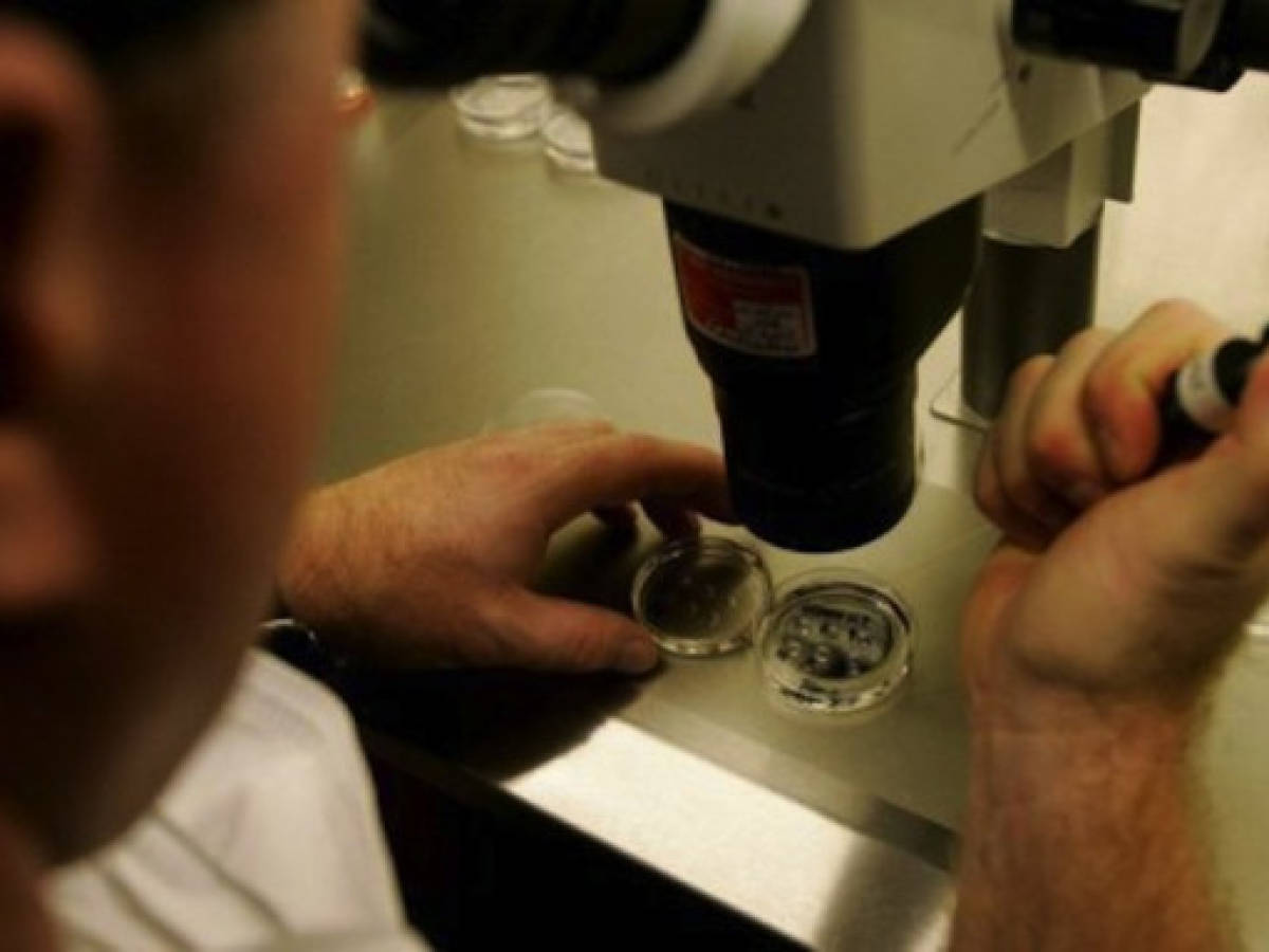Costa Rica: parejas exigen derecho a procrear hijos in vitro