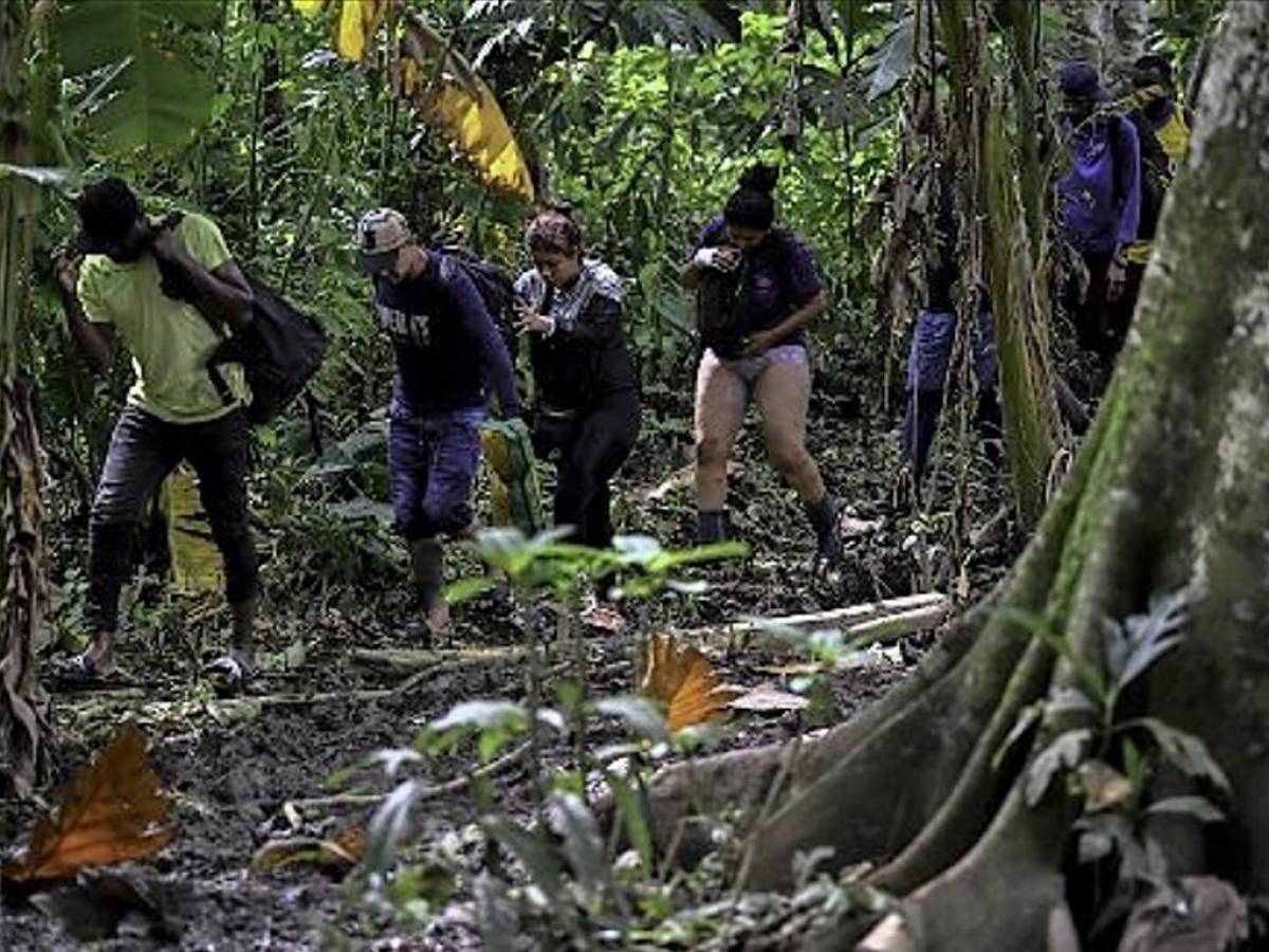 Récord de más de medio millón de migrantes han cruzado selva panameña