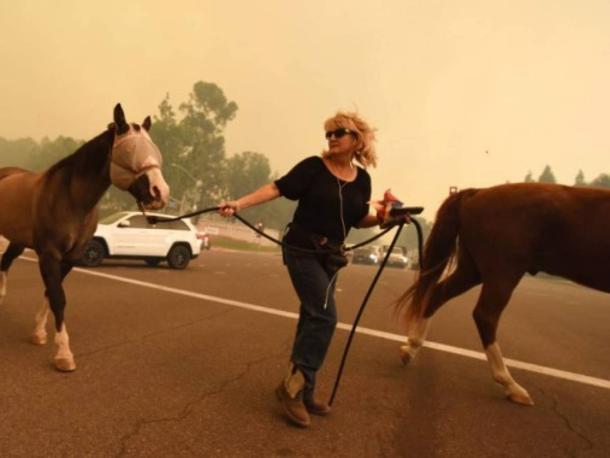 Incendios arrasan la región del vino de California