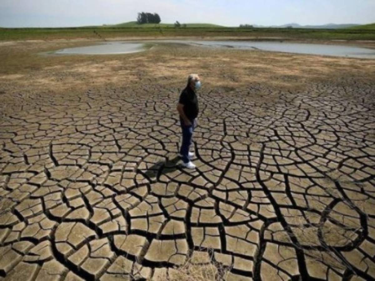 La sequía en California pone en jaque el suministro de alimentos en gran parte de EEUU