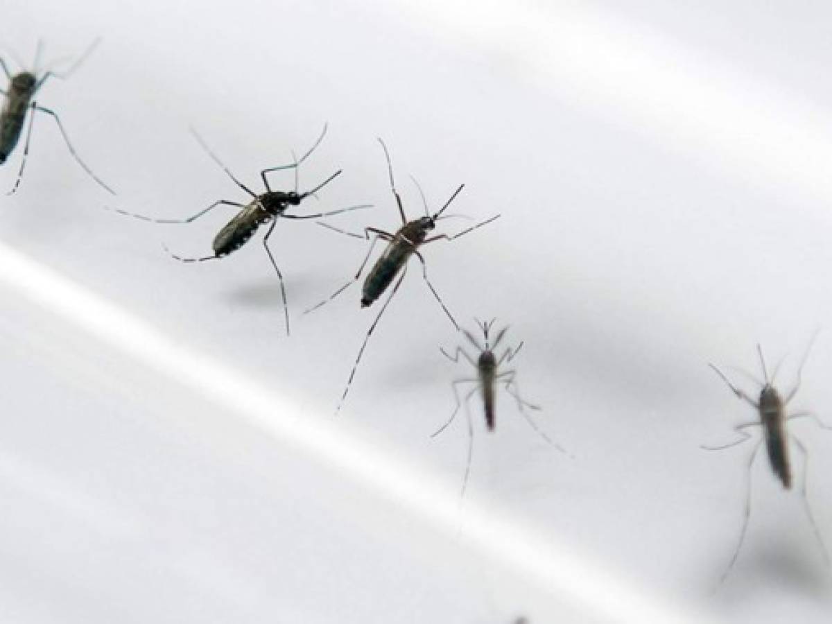 Costa Rica emite alerta por casos de malaria