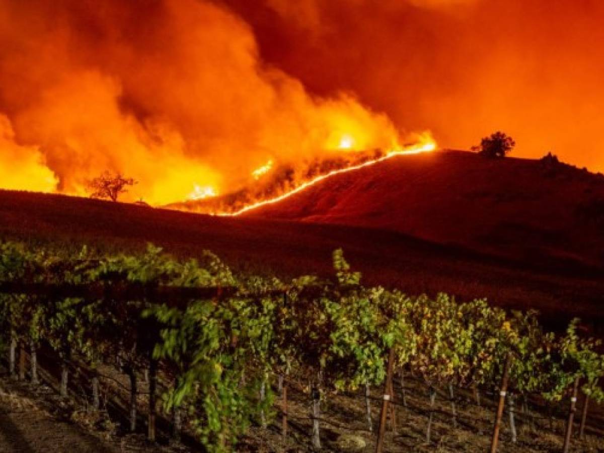 Flames approach rolling hills of grape vines during the Kincade fire near Geyserville, California on October 24, 2019. - The fire broke out in spite of rolling blackouts by utility companies in both northern and Southern California. (Photo by Josh Edelson / AFP)