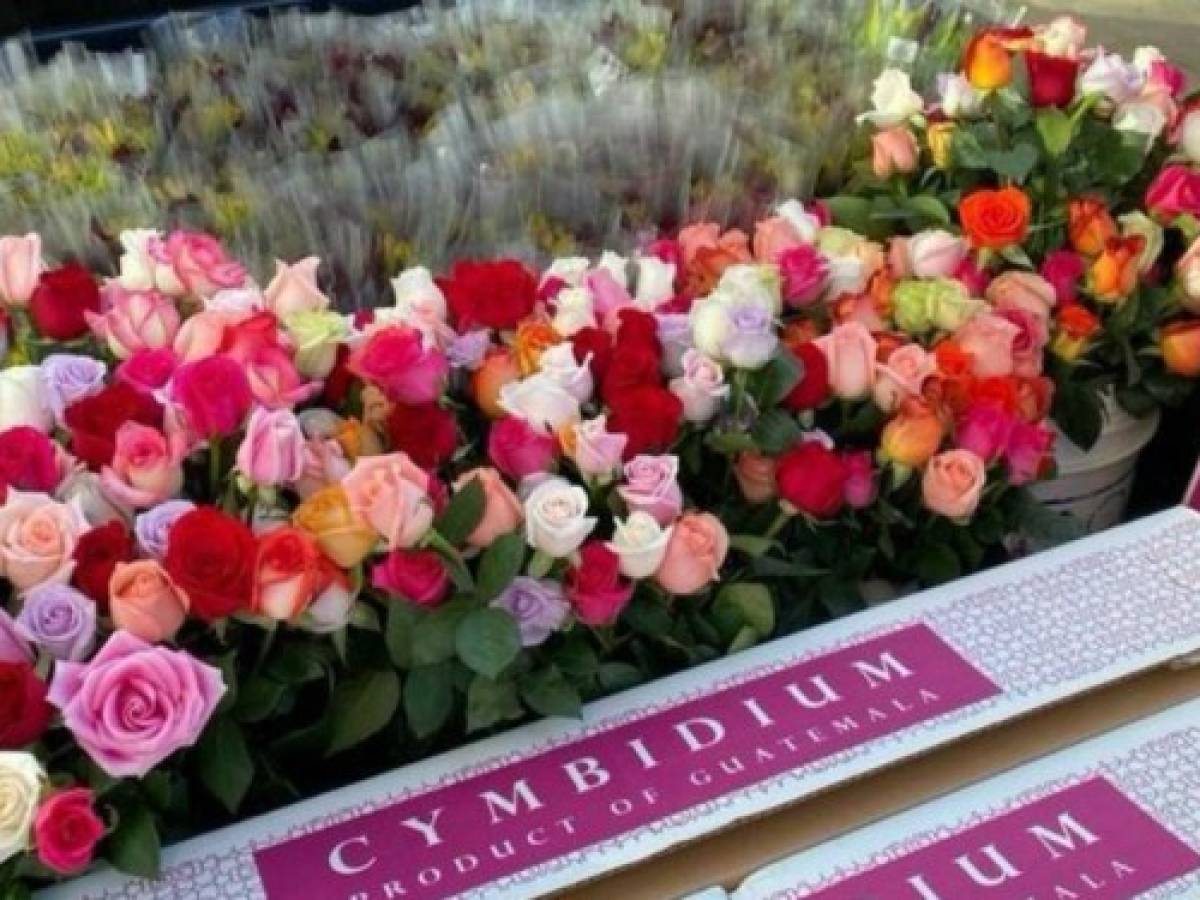 Guatemaltecos reparten flores para llevar alegría en medio de crisis