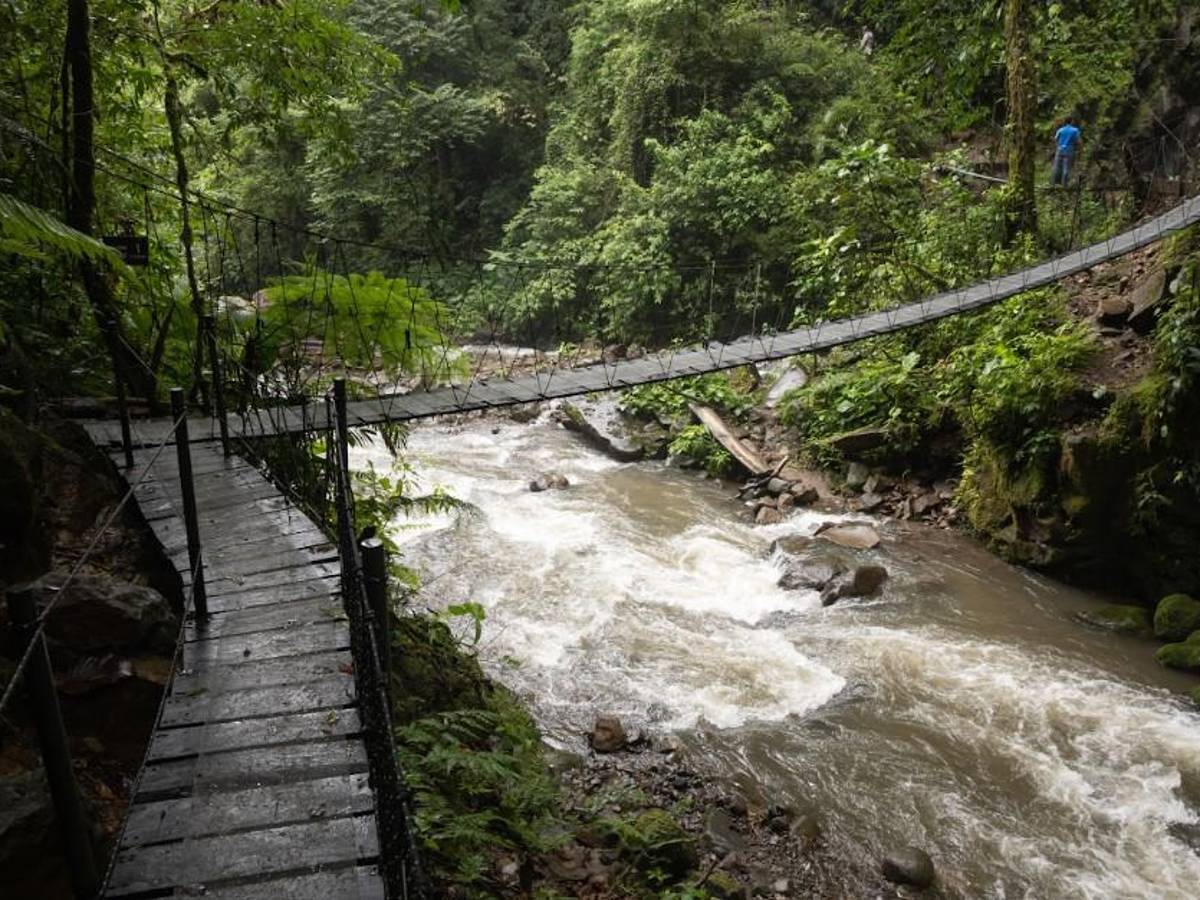 Zipline Bike, una aventura extrema que se encuentra en Costa Rica