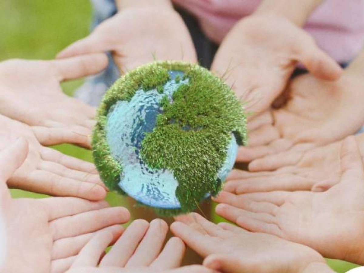 BN Pyme Verde, programa que beneficia a clientes y protege el planeta