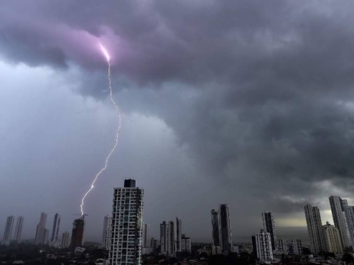 El Smithsonian estudia los efectos del cambio climático en bosques tropicales de Panamá