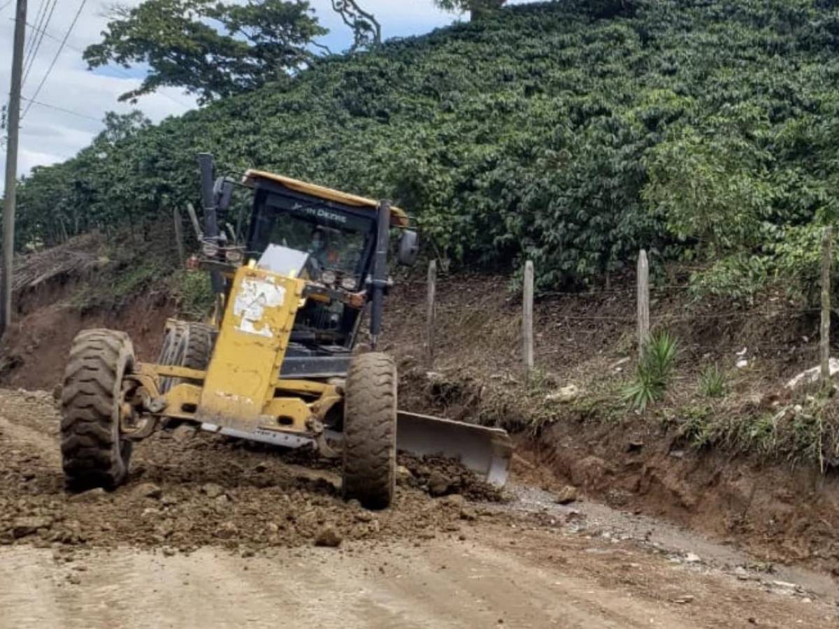 Honduras: Más de 50 municipios en emergencia por no poder acceder a cultivos de café