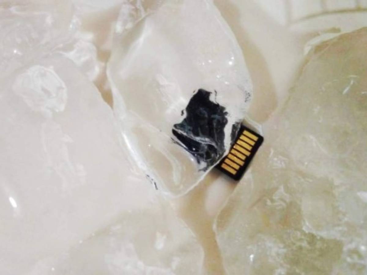 ¿Cuál tipo de tarjeta SD o microSD es la que necesito?