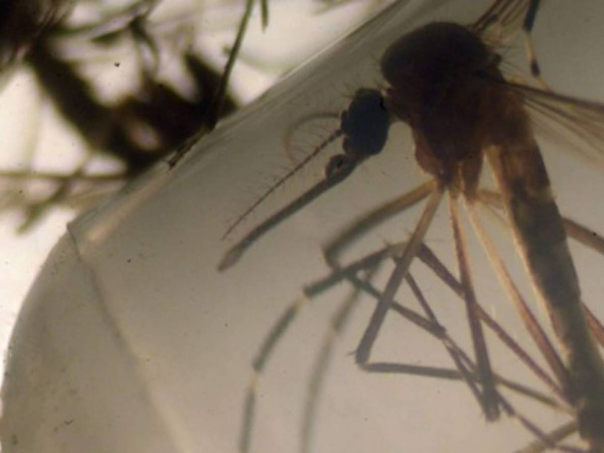 Guatemala en alerta por aumento de muertes por dengue