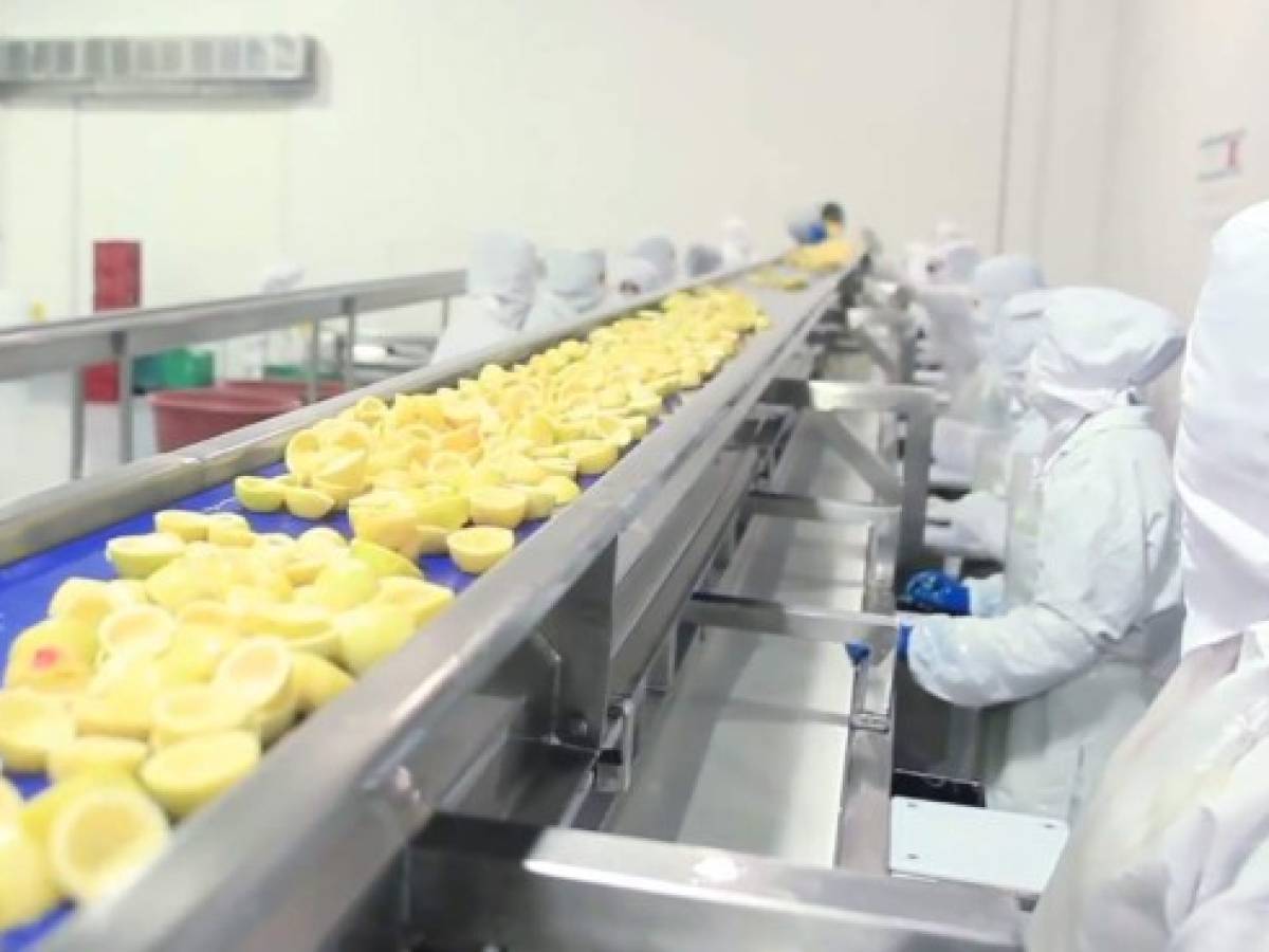 Costa Rica: Mexifrutas invertirá US$20 millones en planta en Siquirres