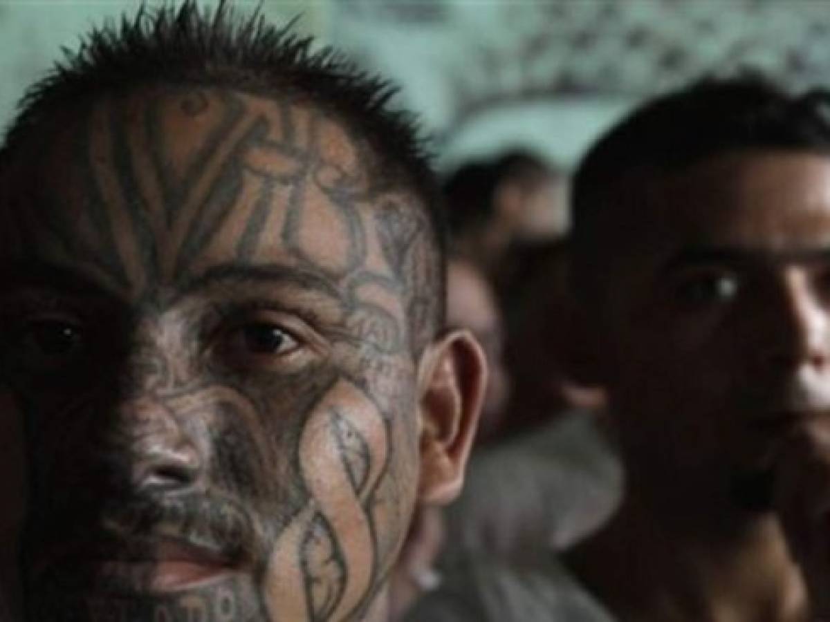 Dato estremecedor de la evolución del 'fenómeno pandillas'