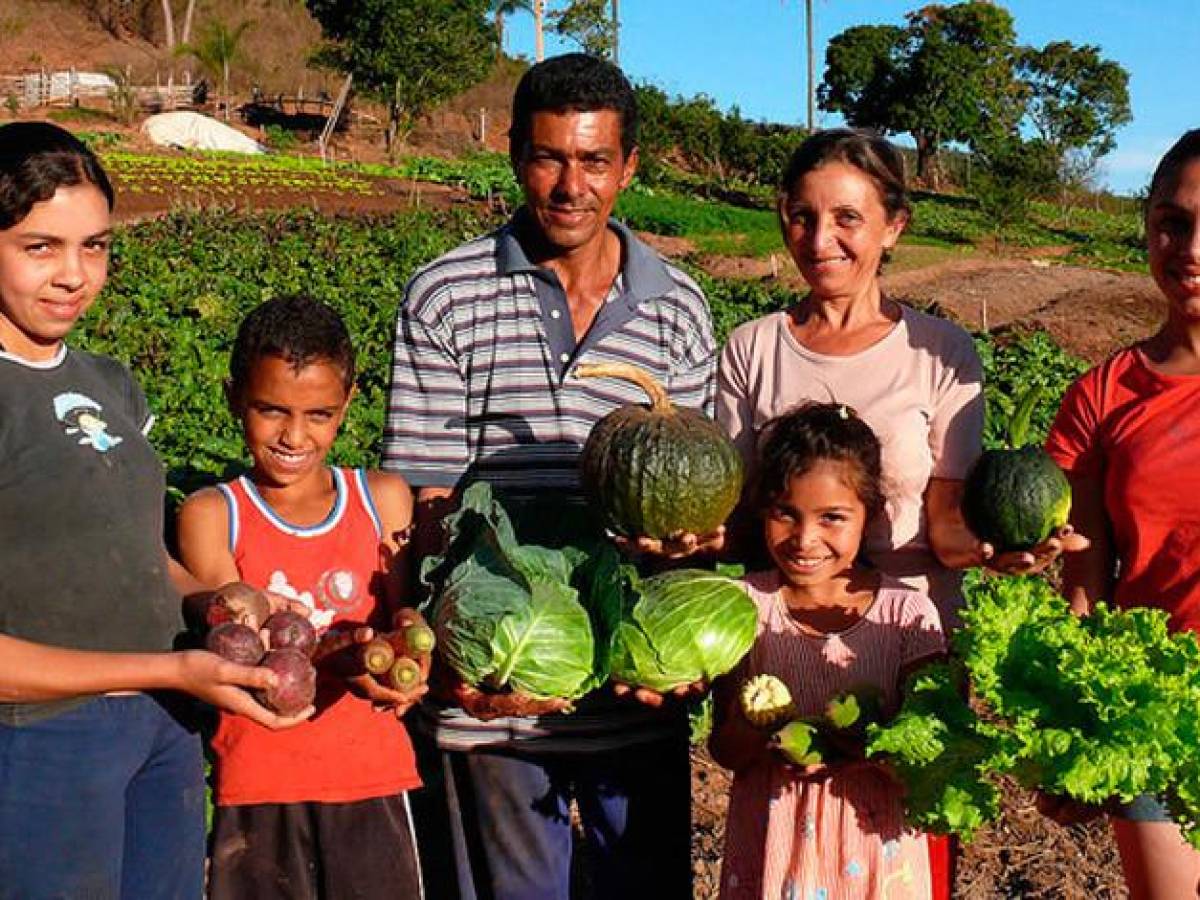FAO propone vincular agricultura familiar ante alza mundial de precio de alimentos