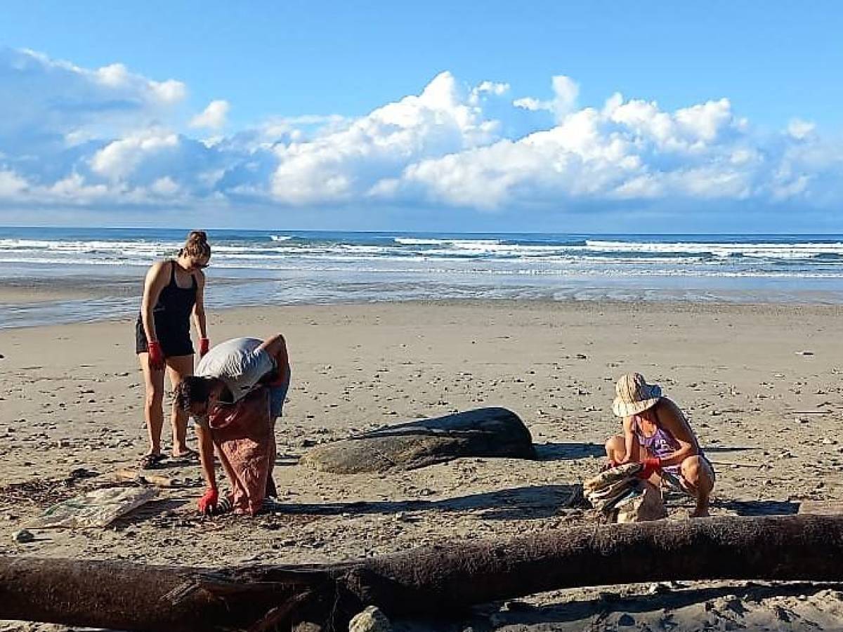 Mayoría de los desechos en playas de Costa Rica son botellas PET, muestra auditoría