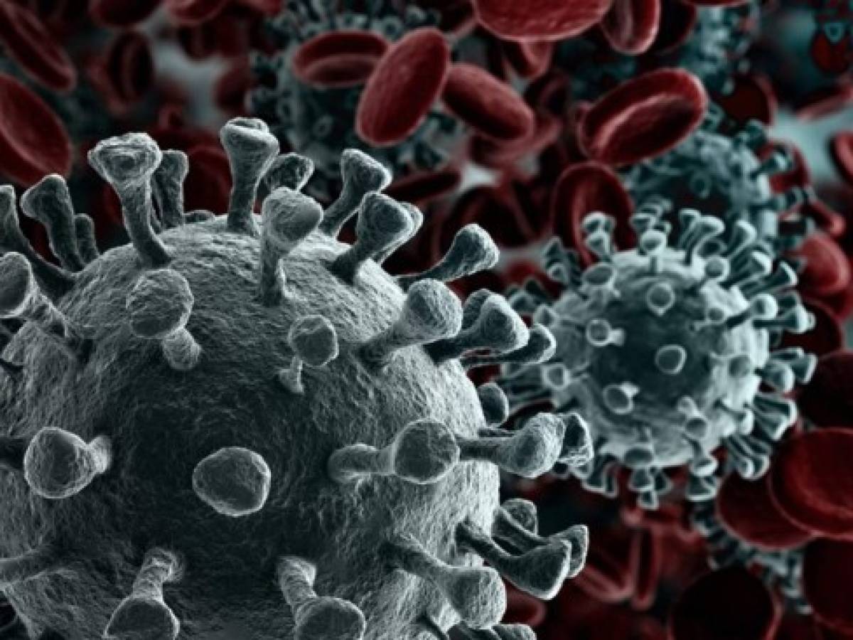 OMS ve posible fin de la fase aguda de la pandemia