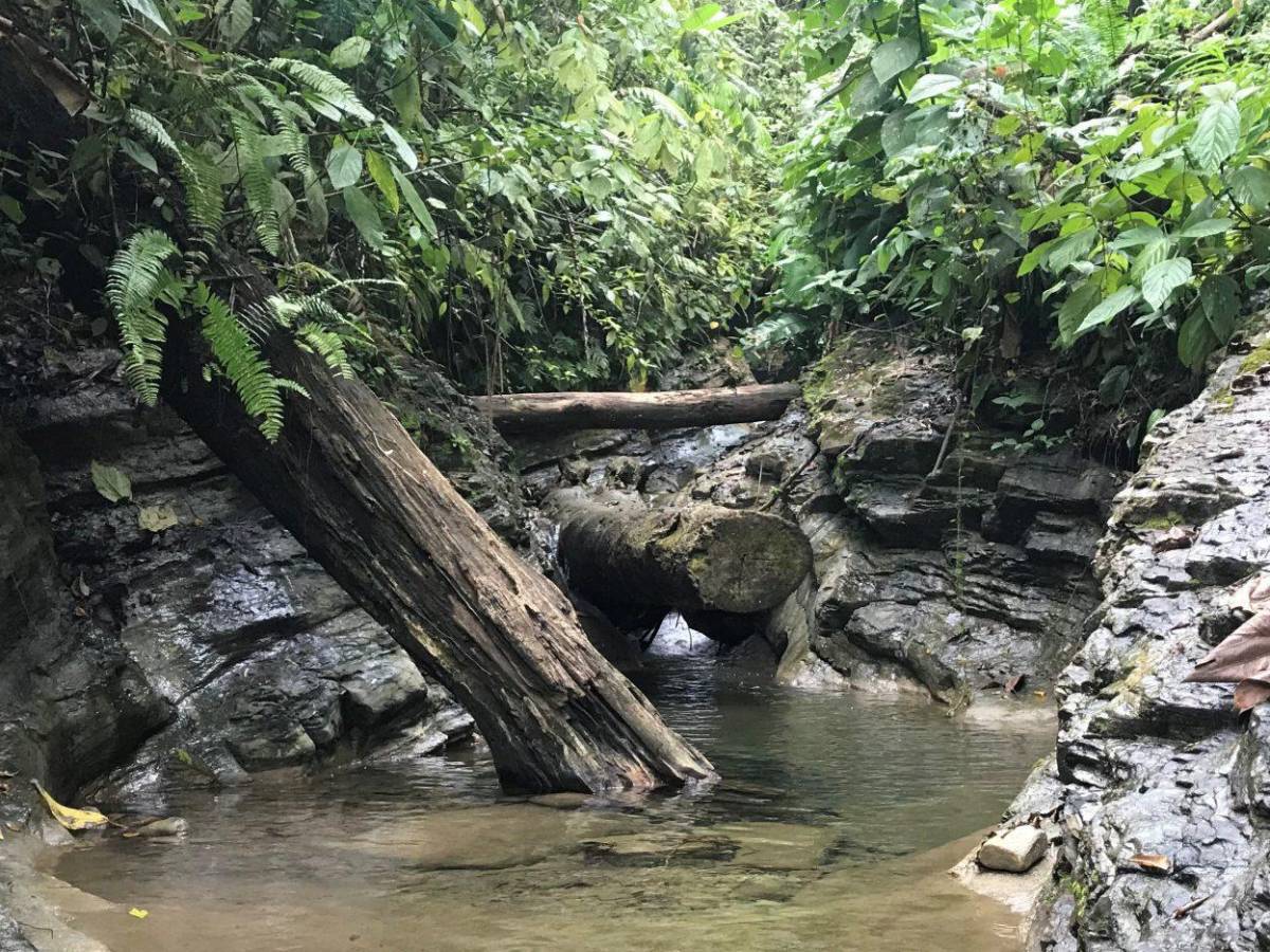 Descubren canal subterráneo que conecta las Galápagos con Panamá